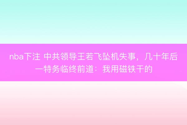 nba下注 中共领导王若飞坠机失事，几十年后一特务临终前道：我用磁铁干的