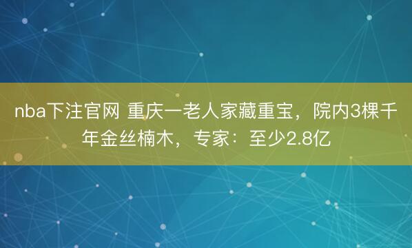nba下注官网 重庆一老人家藏重宝，院内3棵千年金丝楠木，专家：至少2.8亿