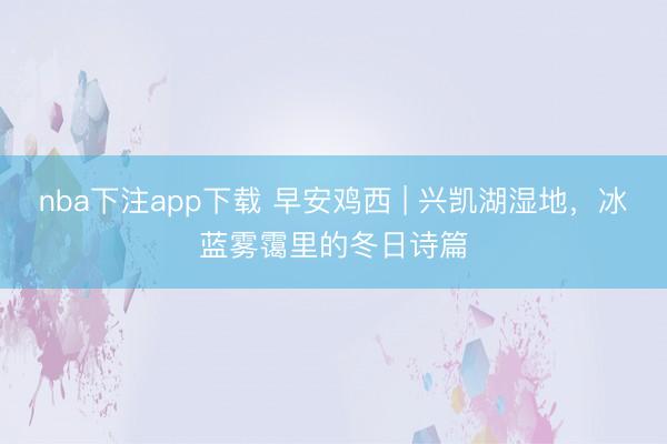 nba下注app下载 早安鸡西 | 兴凯湖湿地，冰蓝雾霭里的冬日诗篇