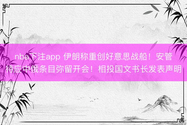 nba下注app 伊朗称重创好意思战船！安管待应中俄条目弥留开会！相投国文书长发表声明