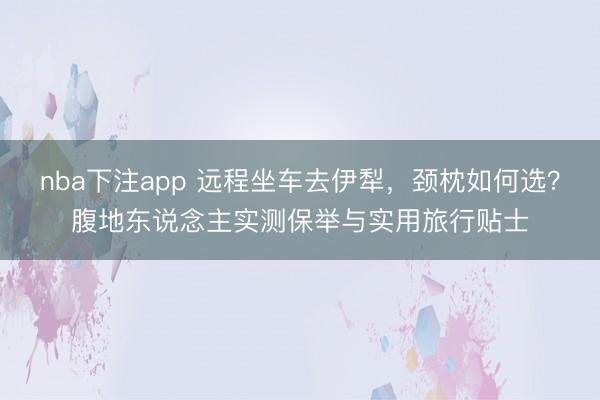 nba下注app 远程坐车去伊犁,颈枕如何选?腹地东说念主实测保举与实用旅行贴士