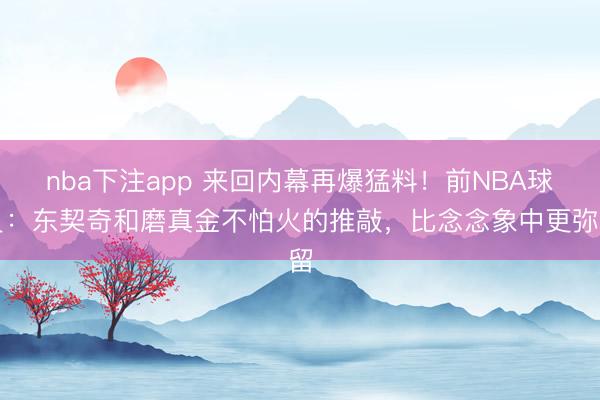 nba下注app 来回内幕再爆猛料！前NBA球员：东契奇和磨真金不怕火的推敲，比念念象中更弥留
