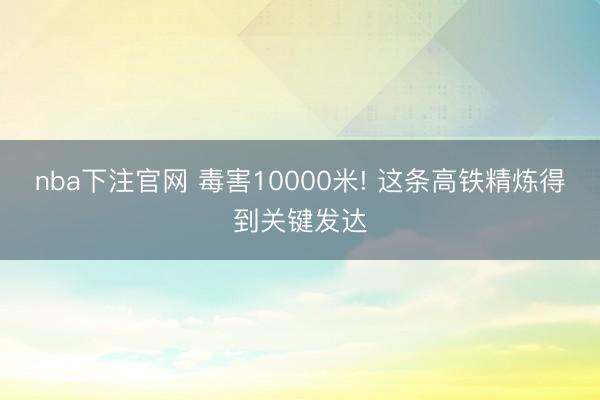 nba下注官网 毒害10000米! 这条高铁精炼得到关键发达