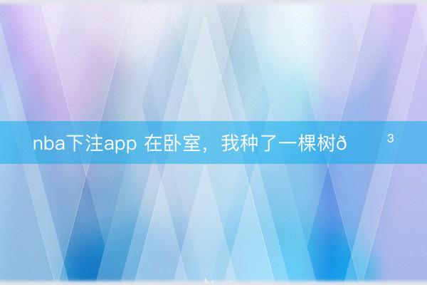 nba下注app 在卧室,我种了一棵树🌳