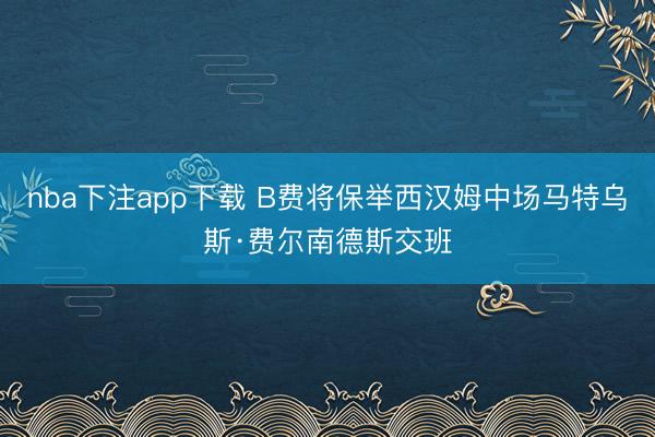 nba下注app下载 B费将保举西汉姆中场马特乌斯·费尔南德斯交班
